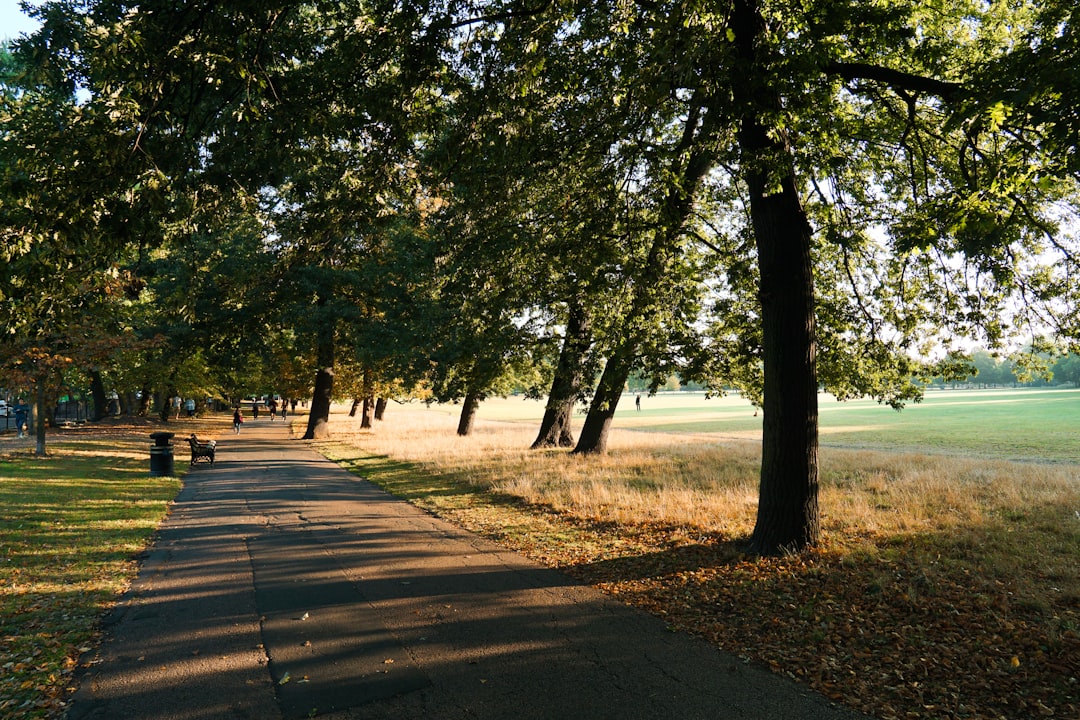Beginner runners jogging together on a path in a UK park during daytime