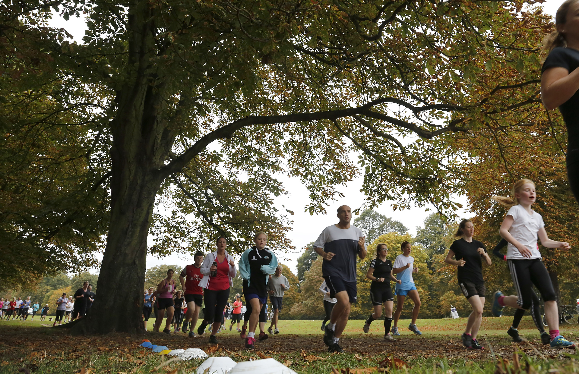 Runners jogging through Bushy Park during a parkrun event in London
