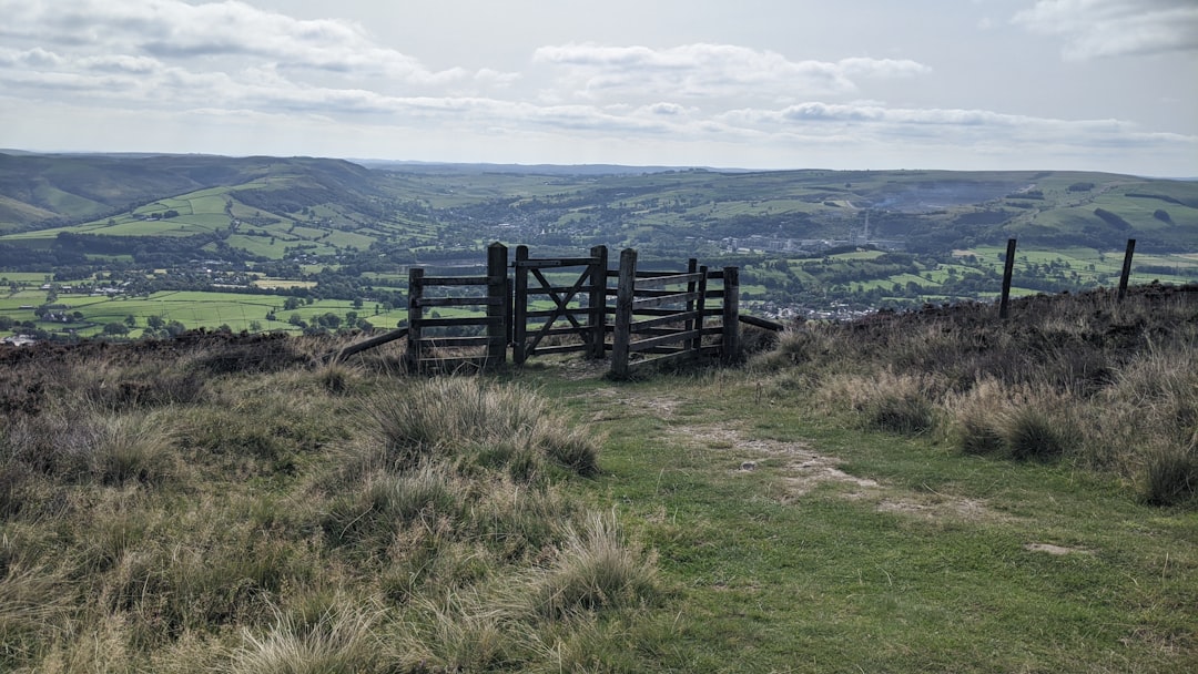 Trail runners participating in a parkrun through scenic British countryside and woodland